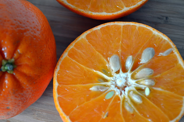 tangerine poppy seed cake