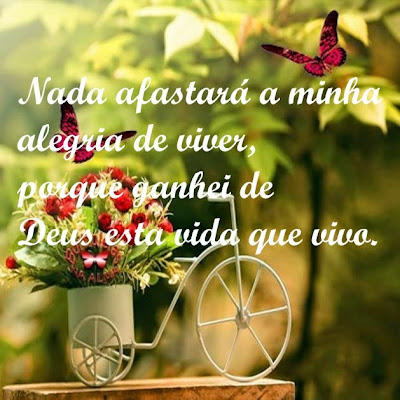 Resultado de imagem para alegria de viver