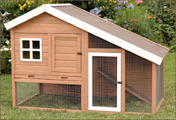 chicken coop diy plans needs self rabbit hutch easy chickens coops bunny