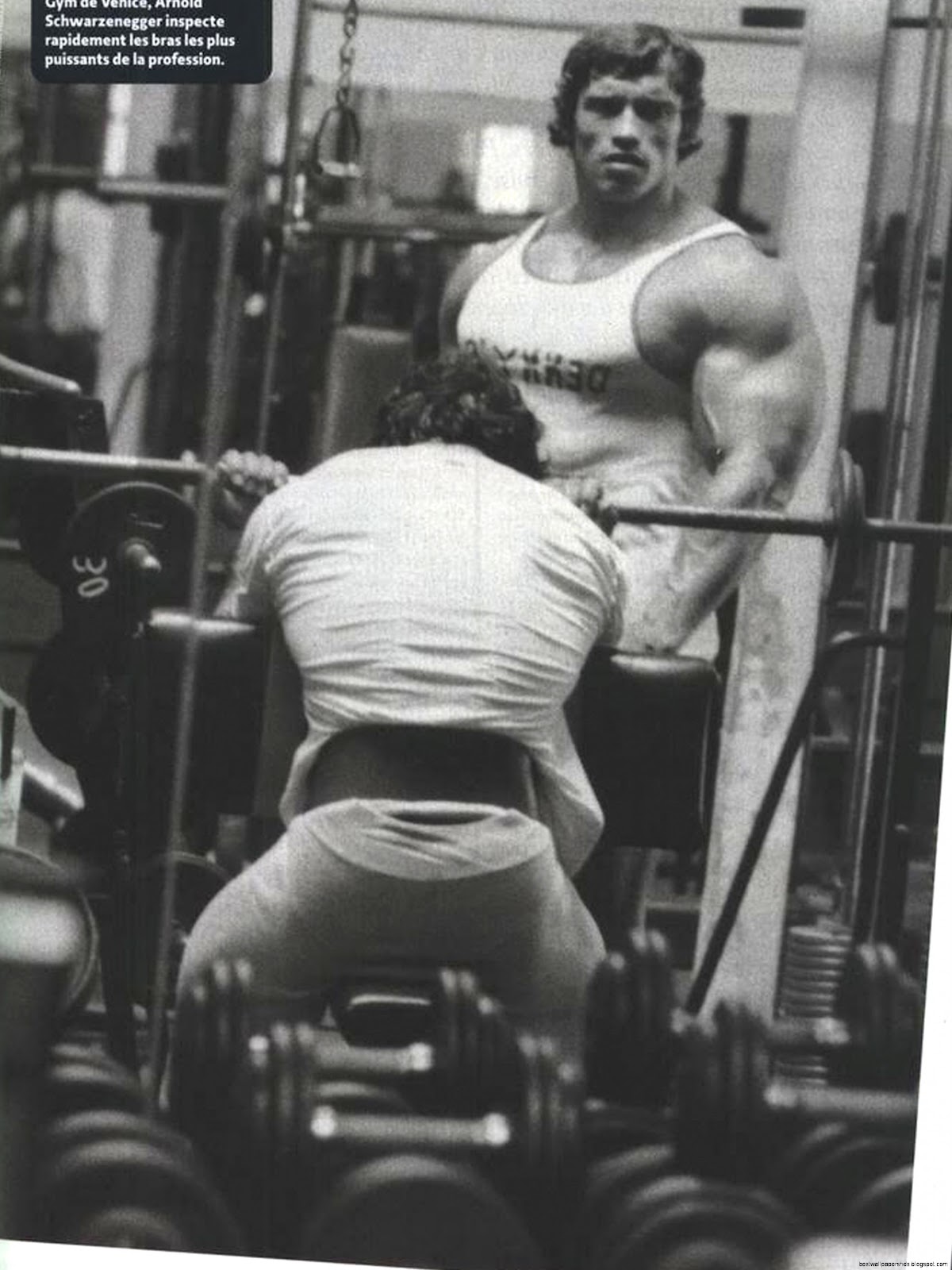 Arnold Schwarzenegger Training