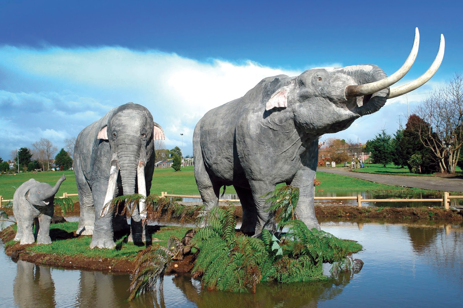 OSORNO Sitio Paleontológico de Pilauco, el gran tesoro cultural y