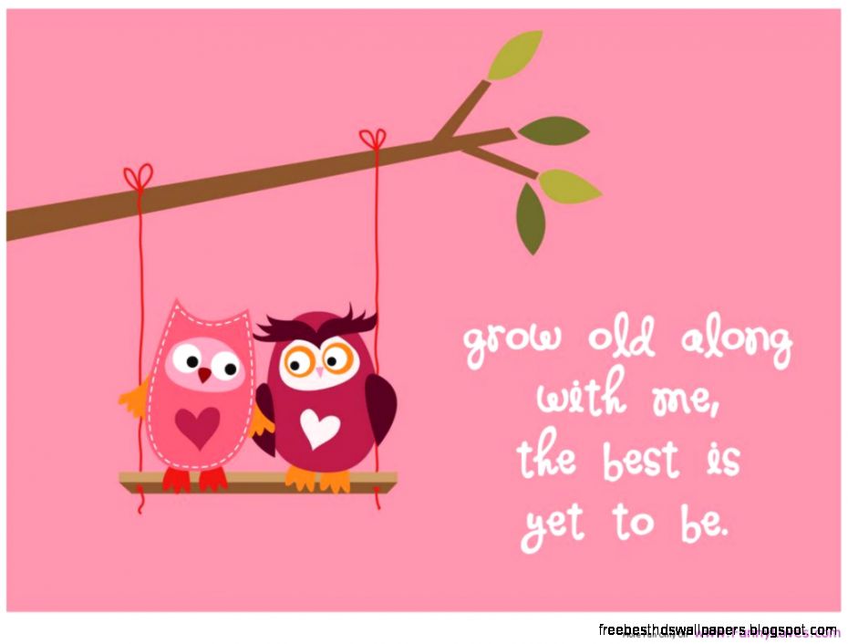 50 Best Funny Love Quotes Of All Time  The Wondrous