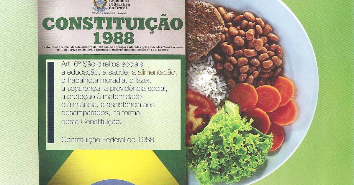 . O Direito Humano à Alimentação