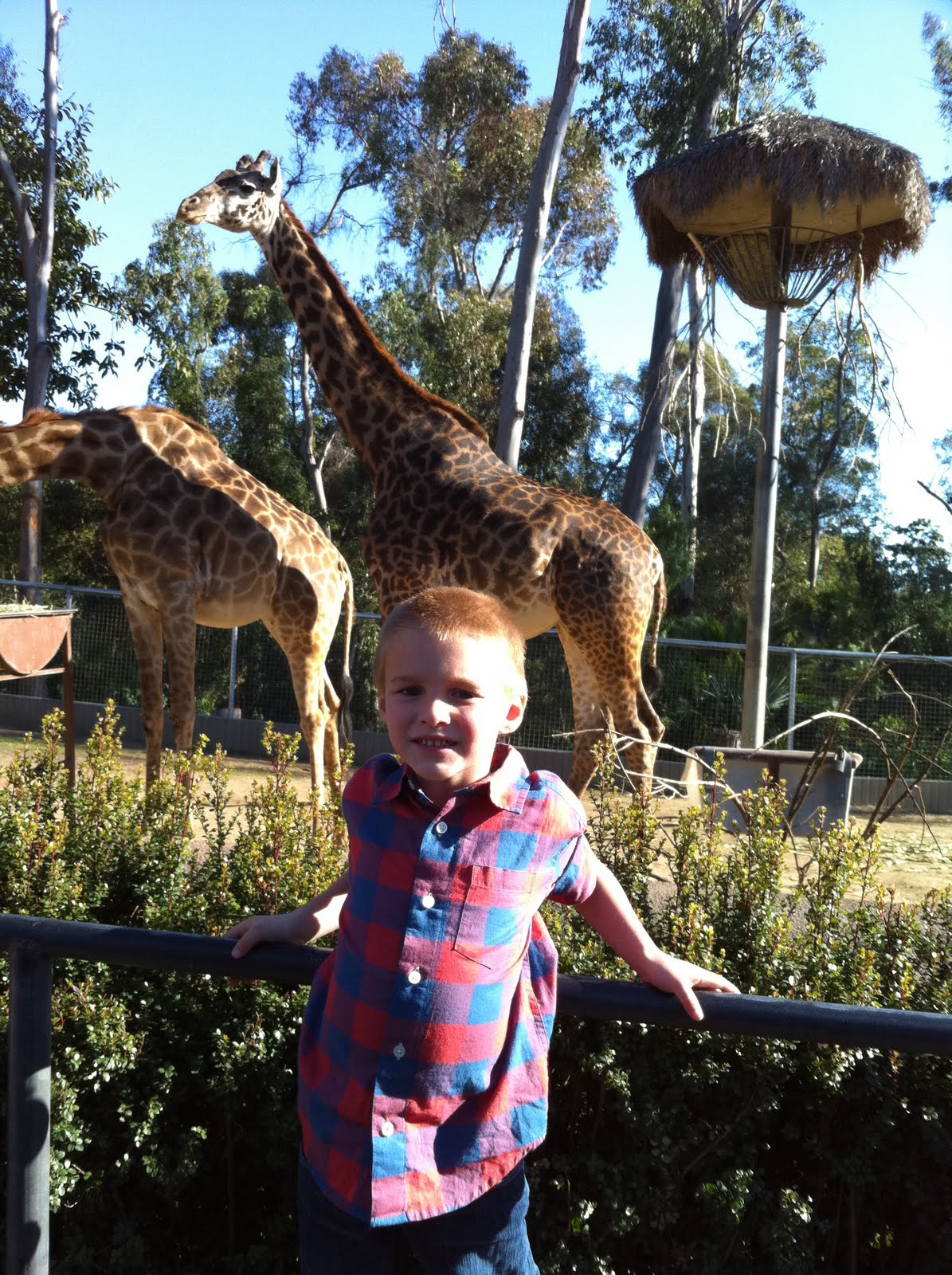 The Collins Valentines Day at the Zoo