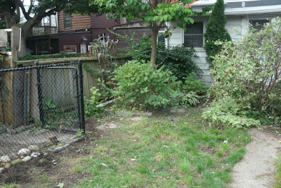 The Junction backyard garden cleanup after by Paul Jung Gardening Services Toronto