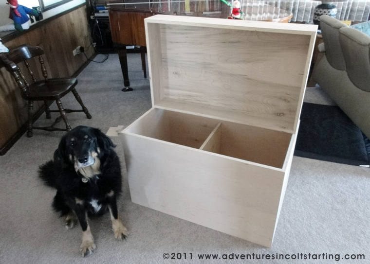 Adventures in Colt Starting DIY Tack Trunk Plans