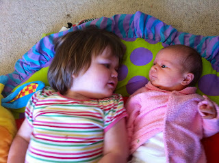 They say the darnedest things