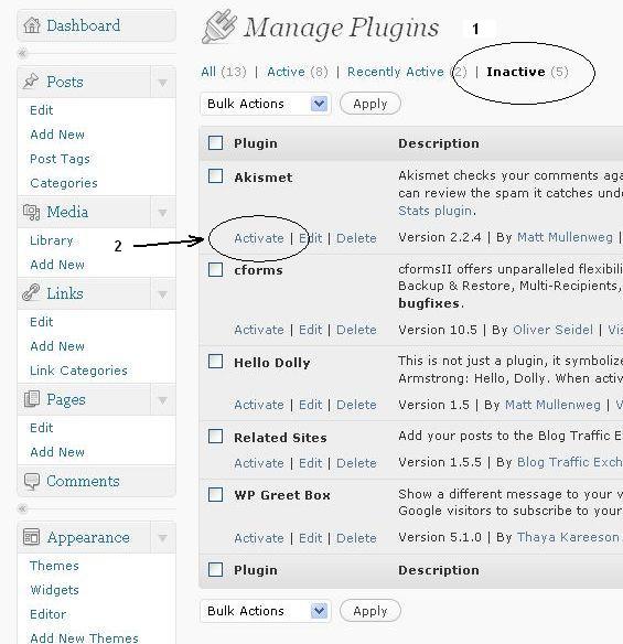 Wordpress activate and deactivate plugins page snapshot