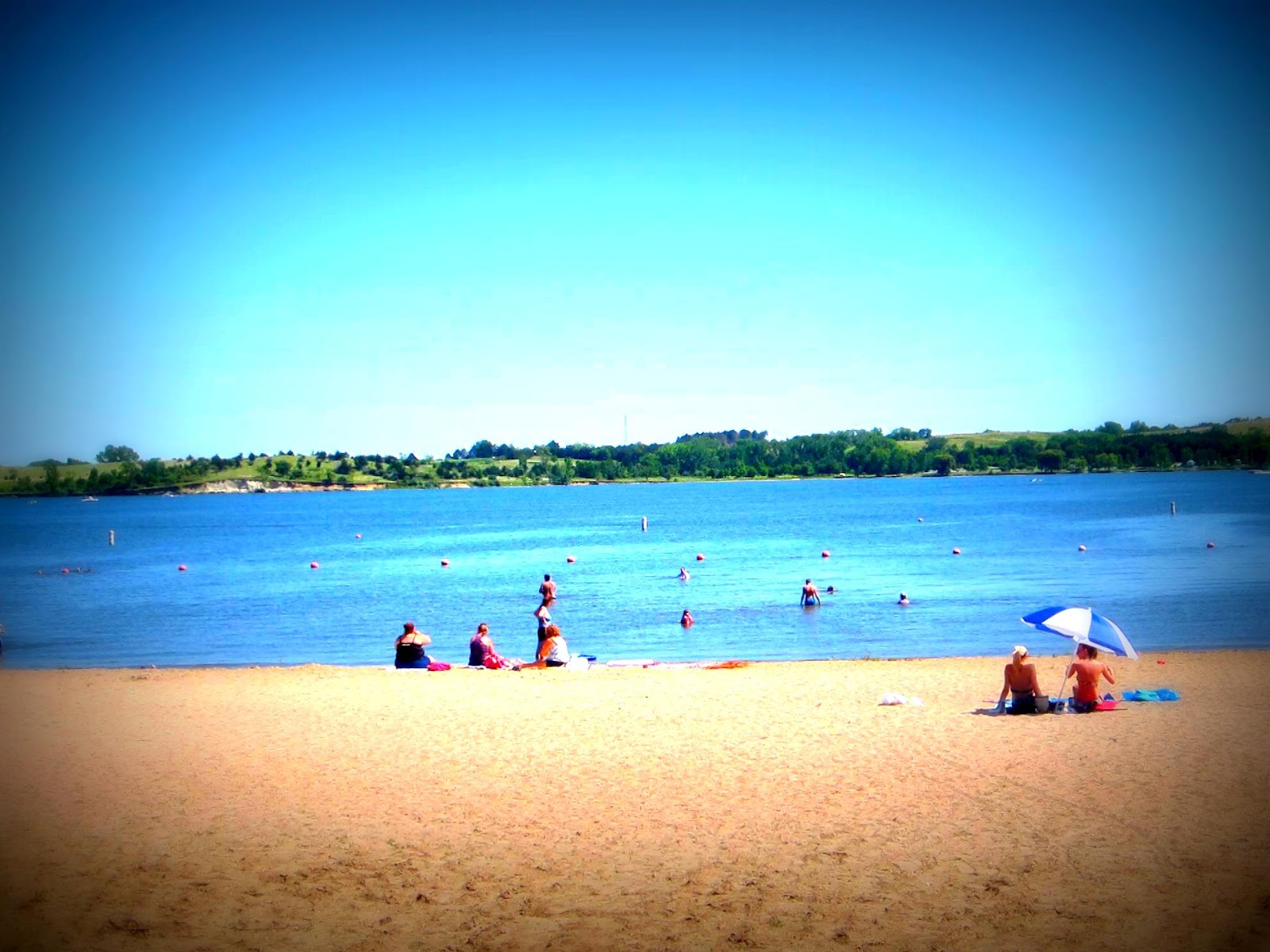 The Curious Lark Branched Oak Lake