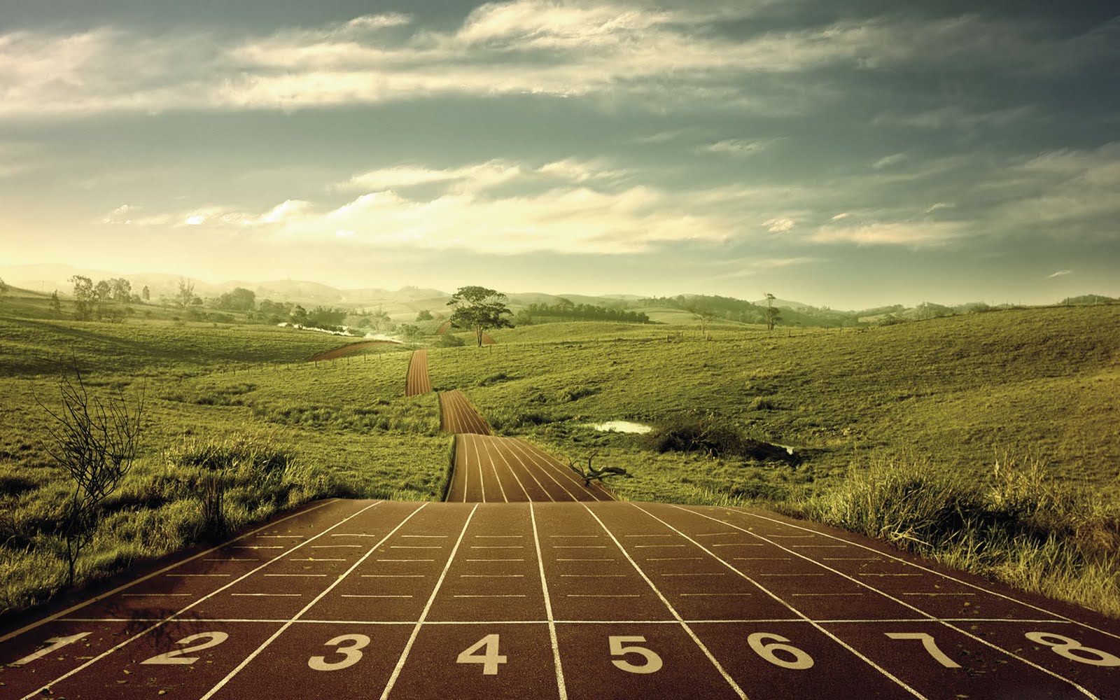 Thought Of The Jay Run Til You re Tired Then Keep Running thought-of-the-jay-run-til-you-re-tired-then-keep-running