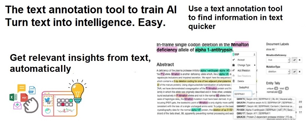 Text Annotation Tool