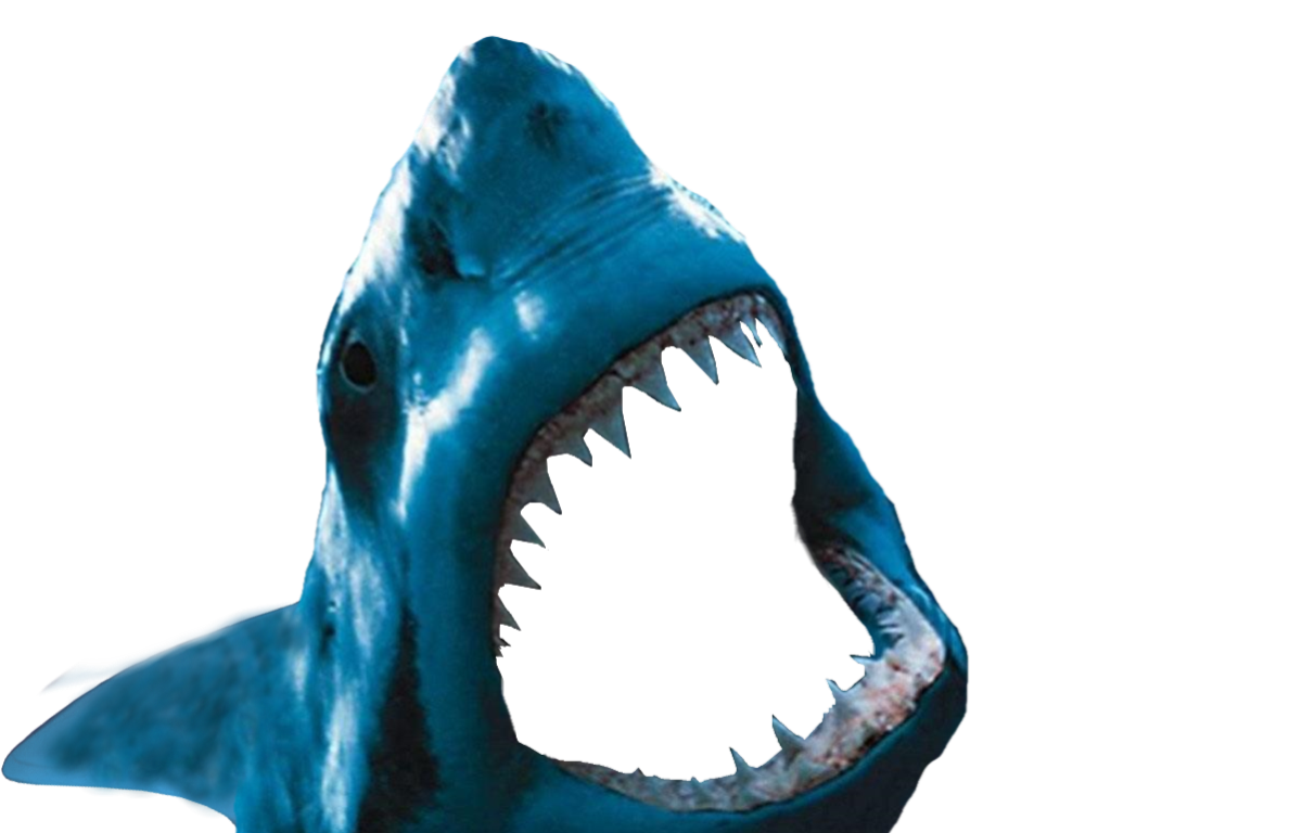 Transparent Shark Mouth Png Shark Mouth Open Png Png Download Kindpng