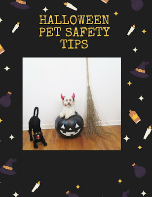 Keep your dog, cat, and other pets safe on Halloween. Halloween dog Safety,  Dog Safety on Halloween,  #dogs #Halloween