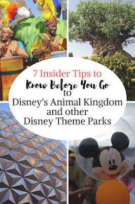 7 Insider Tips to Know Before You Go to Disney's Animal Kingdom and ...