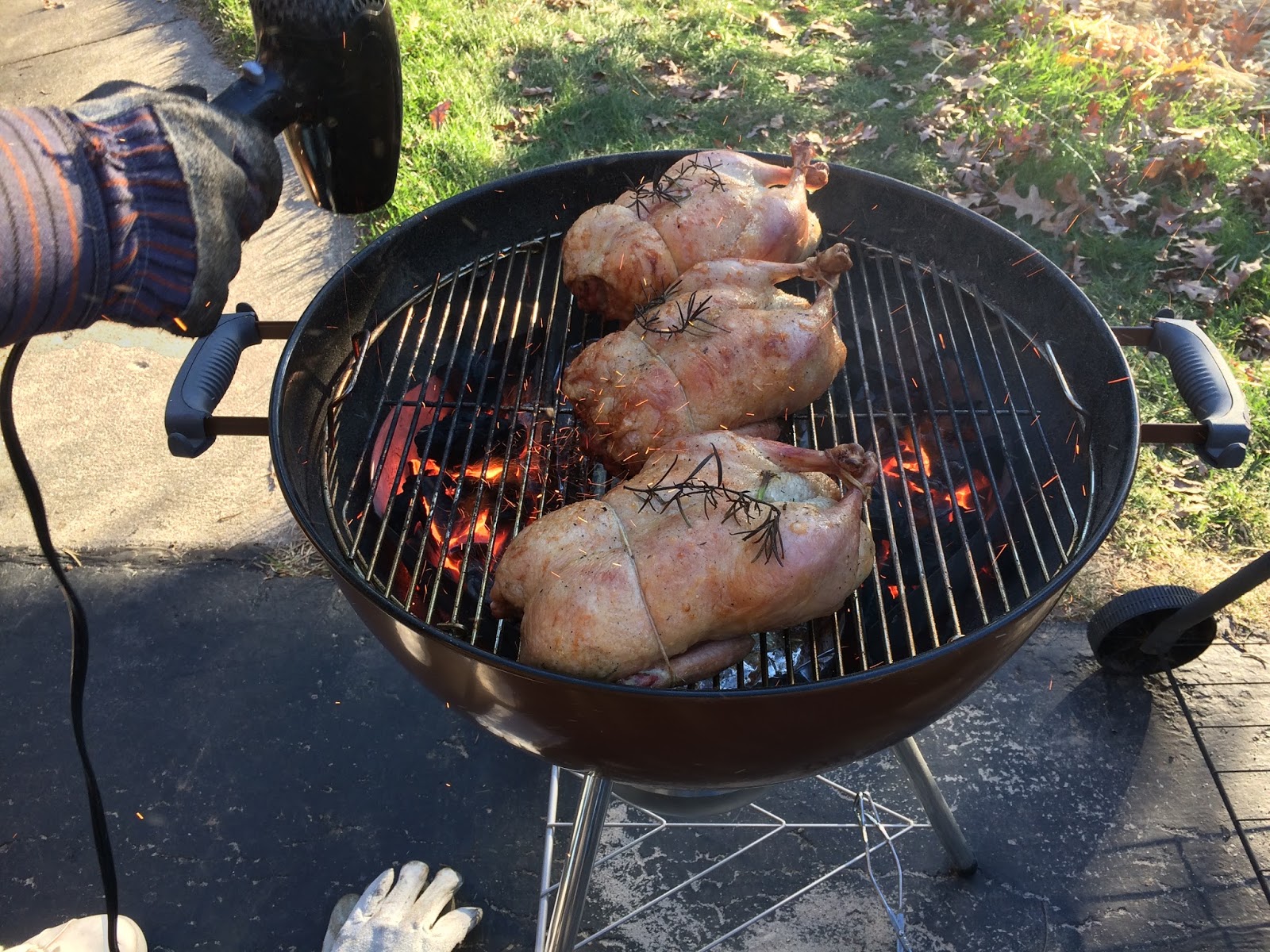 JUST DUCKY! Caturday