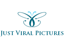 Just Viral Pictures
