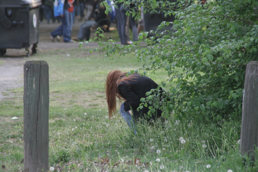 Oberansicht MSNIF im ILA Finale im Prater