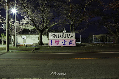 福島県　富岡町　夜ノ森　桜並木　