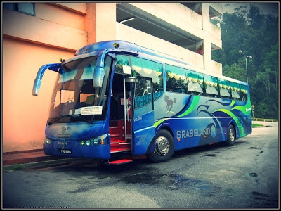 Foto Bus Pariwisata Malaysia Grassland