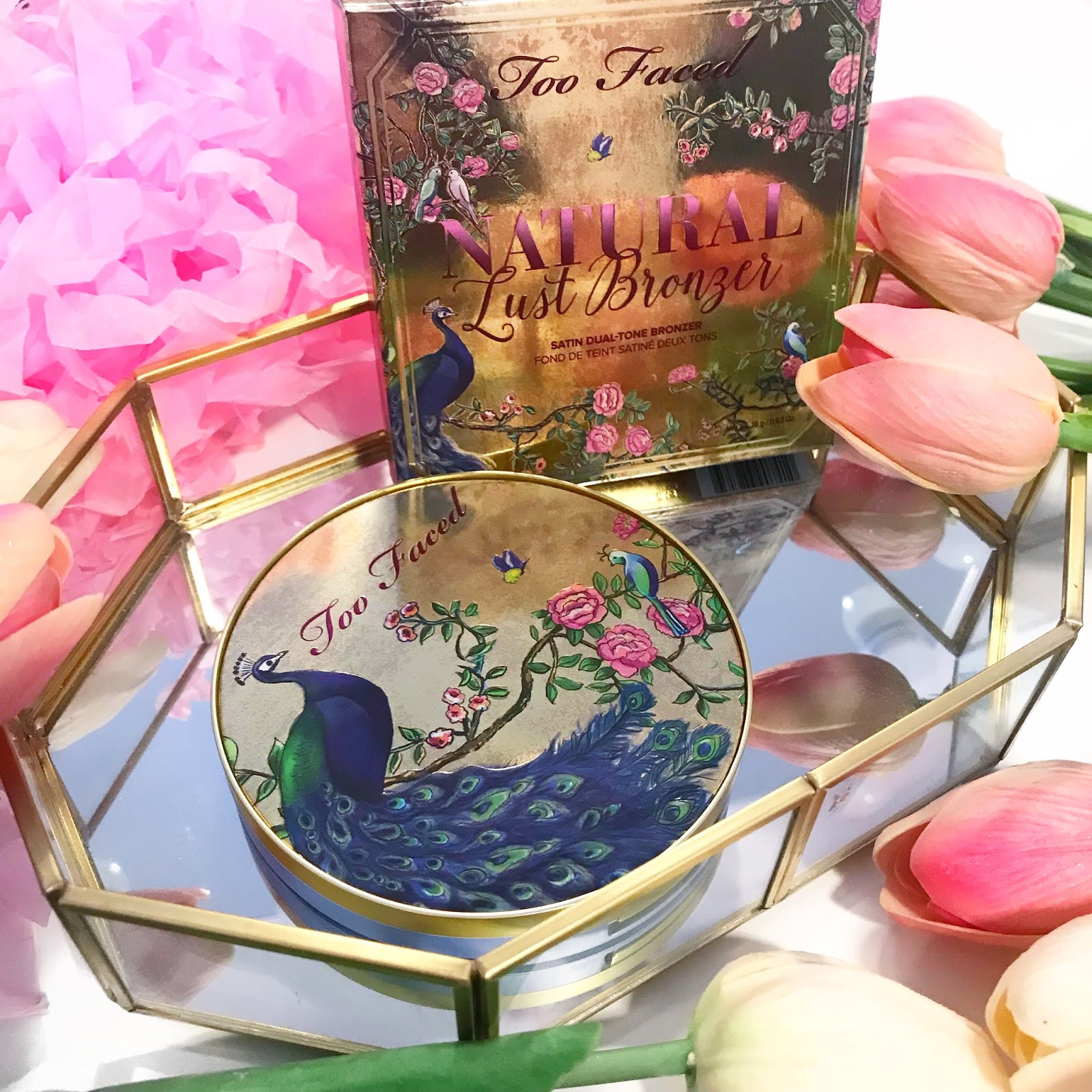 Lyvz Blog Too Faced Natural Lust Bronzer Review Swatch