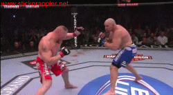 UFC116-ShaneCarwinWinXBrockLesnar1a-250-