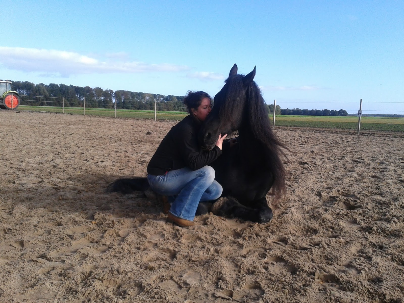 paardenparadijs: paddock paradise