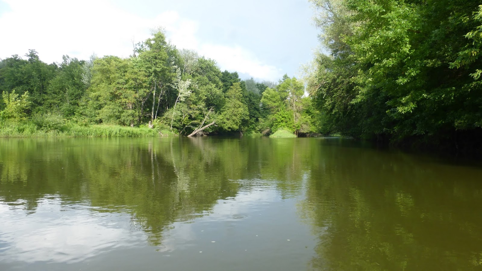 Рыба реки ворона