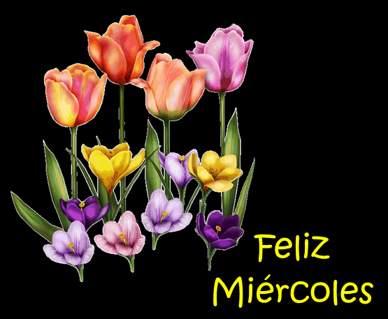 Resultado de imagen de feliz miercoles agosto