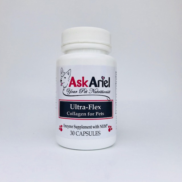 Best Cat Arthritis Supplement Holistic Vet and Pet Nutrition Journal