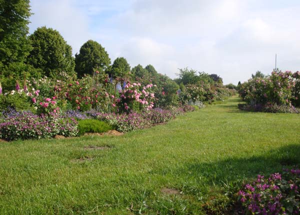 Elfenkunst Von Nicole Elflein Sommer Teamtreffen Des Team