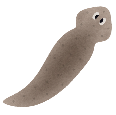 プラナリアのイラスト