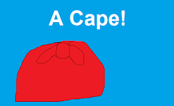 A Cape