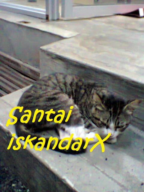 iskandarx.blogspot.com, Belang Tarung lepak selepas selesai dinner, santai, flat ijau, balik pulau, belang tarung