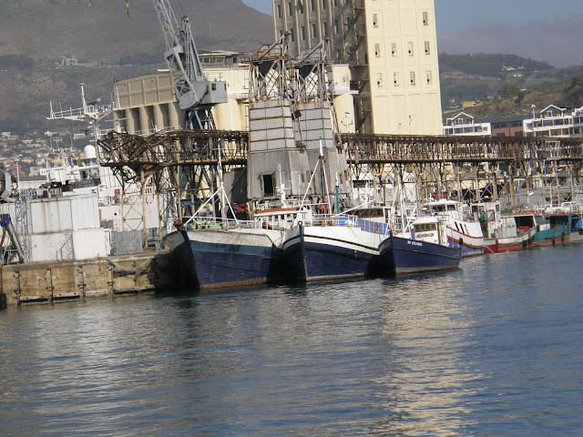 Harbor, Capetown, South Africa