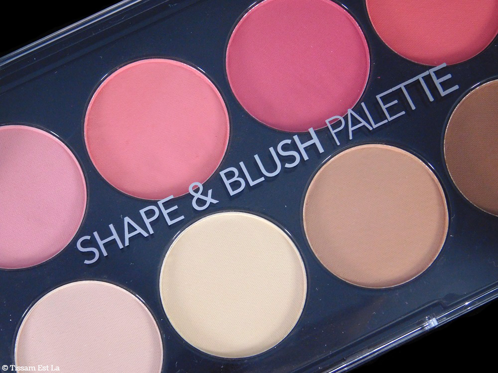 Shape Blush Palette Action