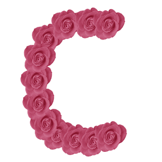Abecedario hecho con Rosas Rosadas. Pink Roses Alphabet.
