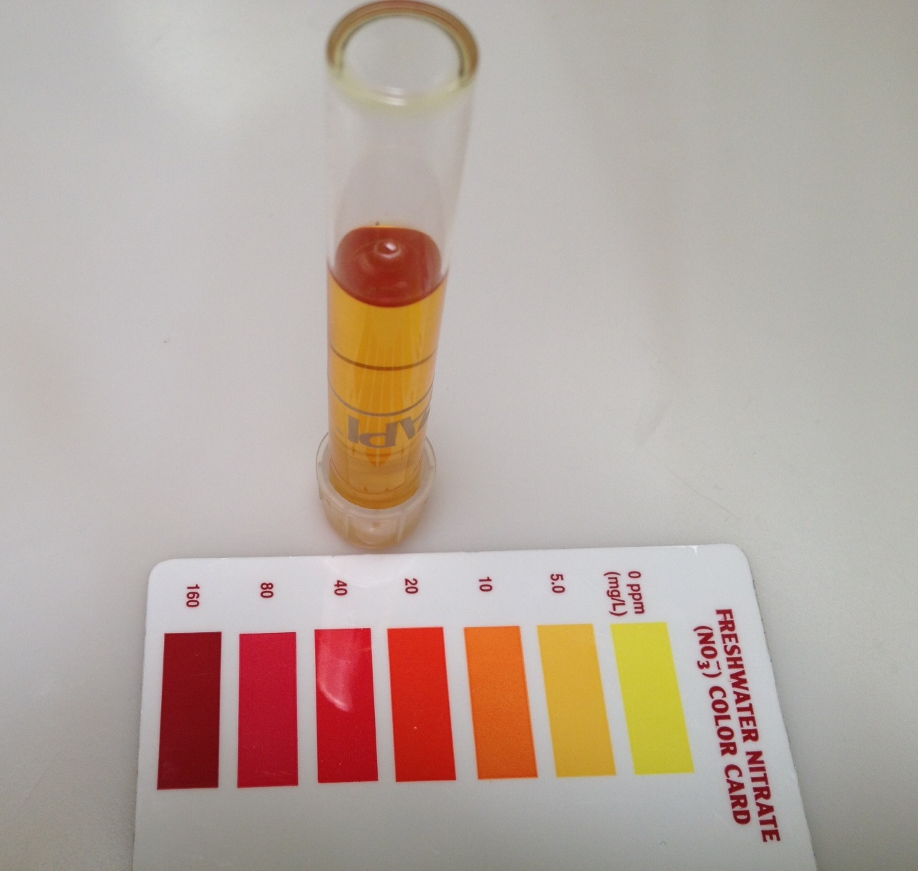 koi-pond-nitrate-level.jpg koi-pond-nitrate-level.jpg