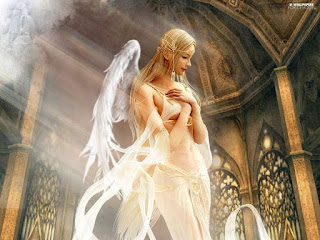 hands-copula-shaiya-angel-elf.jpg