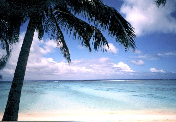 Rarotonga by Tina Winterlik 2000