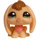 Littlest Pet Shop Carry Case Rabbit (#1167) Pet