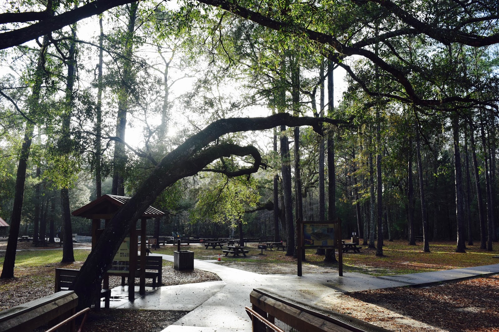 Shanna's Adventures Ponce De Leon Springs State Park