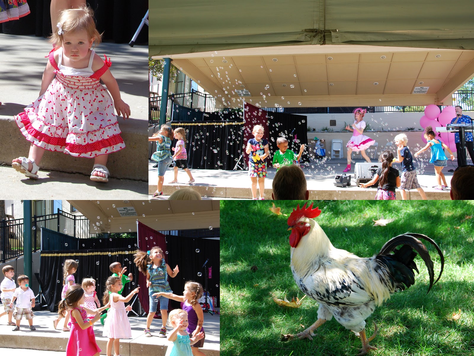 All Things Elise & Alina Fair Oaks Chicken Festival 2012