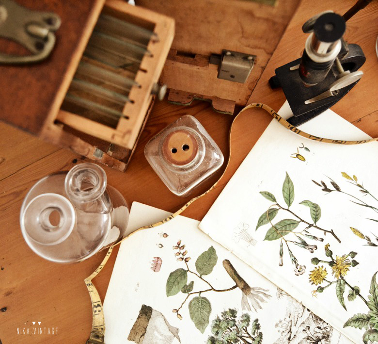 Decorar con objetos antiguos de laboratorio y botánica también son una buena opción para dar personalidad a nuestra casa