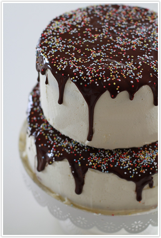 Vanilla Cake with a Chocolate Ganache Drip | Paper & Party Love