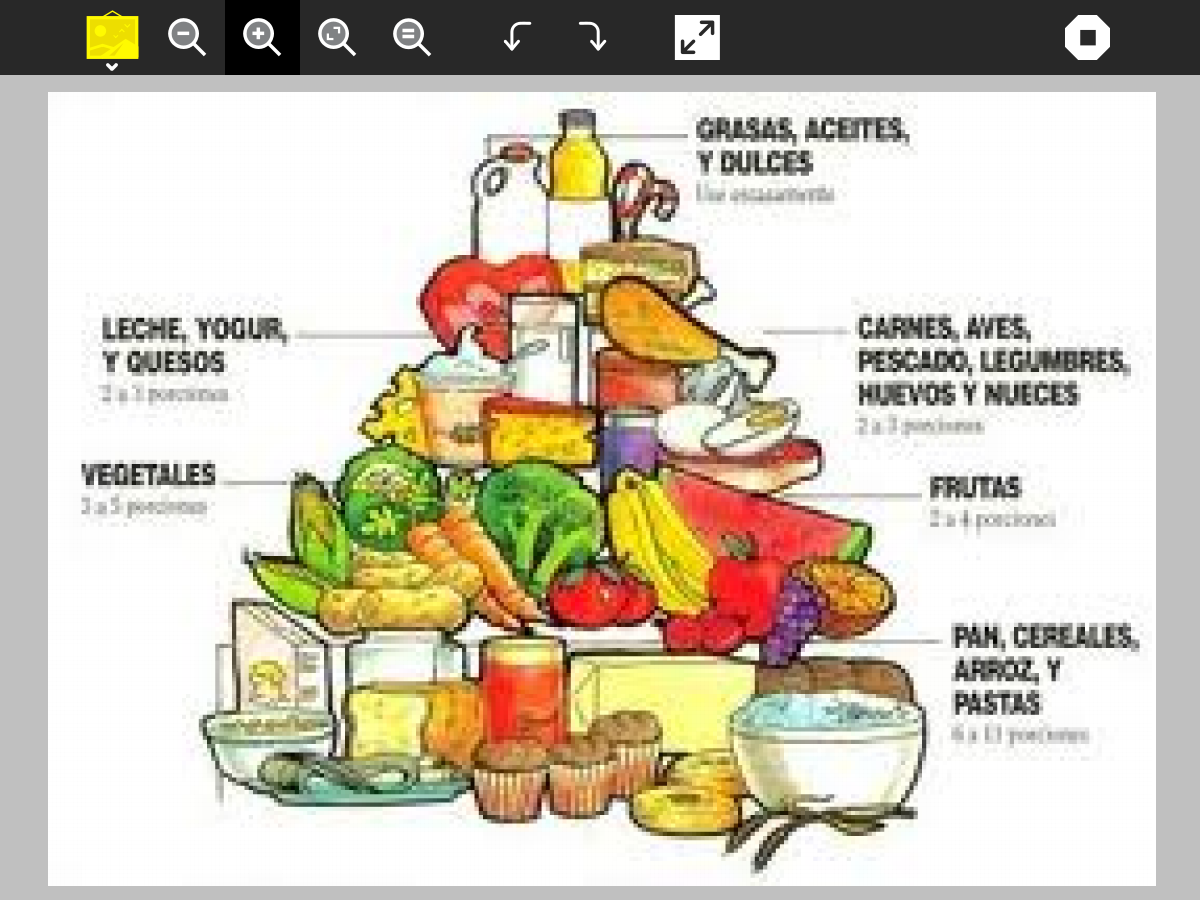 ..NutriSalud..: Que son los alimentos
