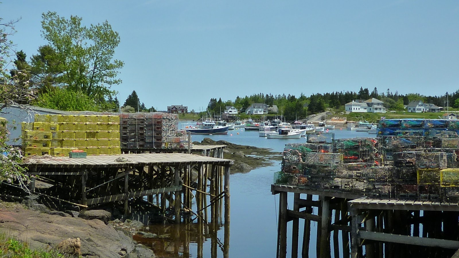 SOLD, Cranberry Point Corea 1, Littlefield Gallery, Winter Harbor, Maine