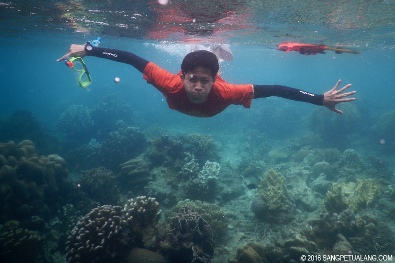 Snorkeling Pulau Harapan Snorkeling Pulau Harapan