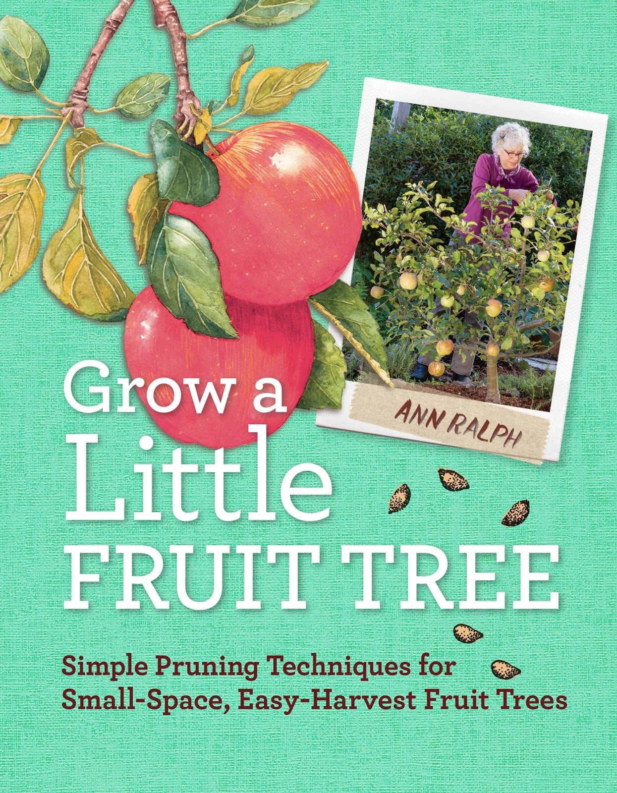 Fruit Tree Spacing Chart : Mango Farming Information Guide | Asia