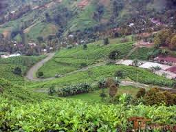 Aktivitas Penduduk Di Daerah Pegunungan Rasanya