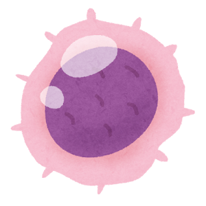 リンパ球のイラスト（白血球・B細胞）
